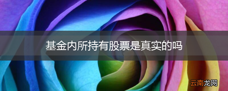 基金内所持有股票是真实的吗