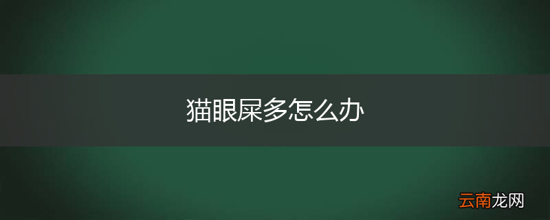 猫眼屎多怎么办