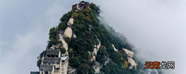 跟我一起去爬山是什么梗 一起去爬山是什么梗?