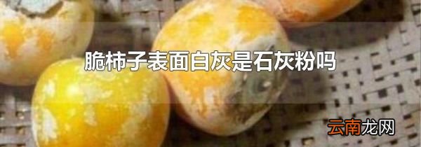 脆柿子表面白灰是石灰粉吗