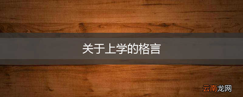 关于上学的格言