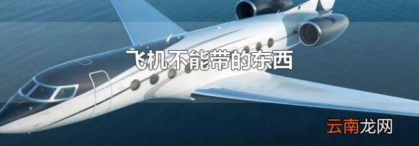 飞机不能带的东西