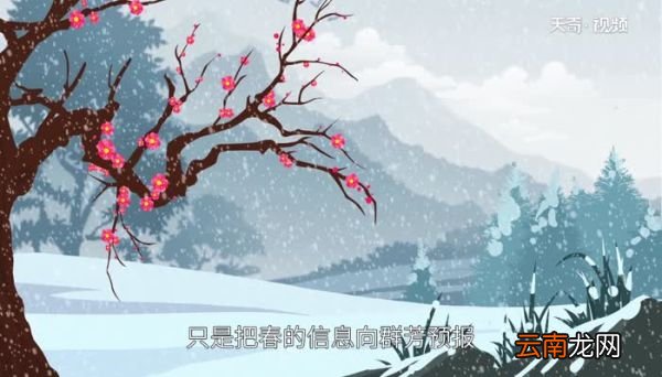 卜算子咏梅毛译文视频卜算子咏梅毛译文视频