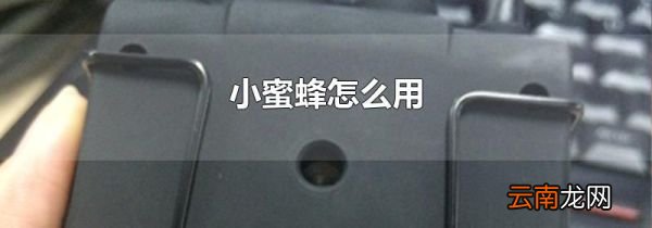 小蜜蜂怎么用