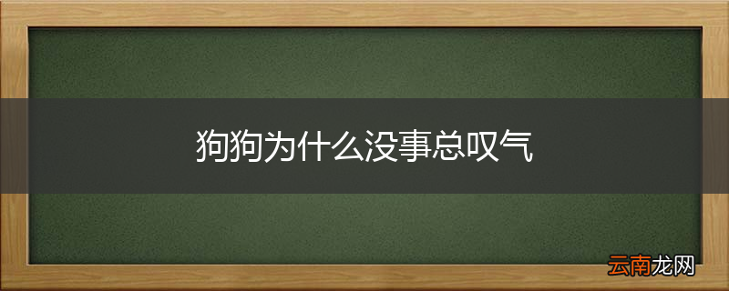 狗狗为什么没事总叹气
