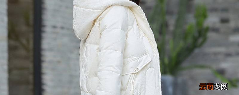 羽绒服淋雨了怎么办