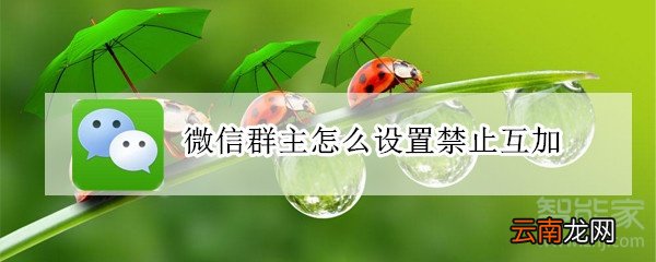 微信群主怎么设置禁止互加