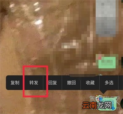 qq怎么一下发100条信息