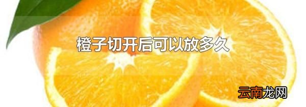 橙子切开后可以放多久