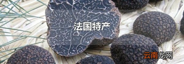 法国特产