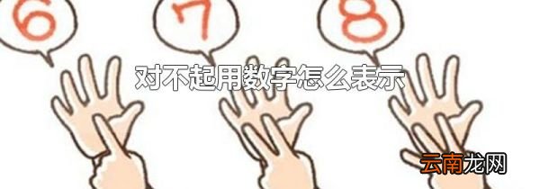 对不起用数字怎么表示