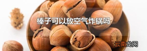 榛子可以放空气炸锅吗