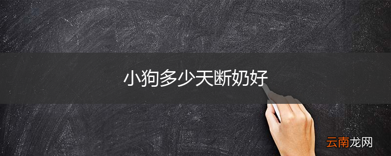 小狗多少天断奶好