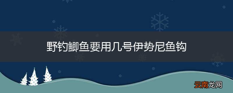 野钓鲫鱼要用几号伊势尼鱼钩