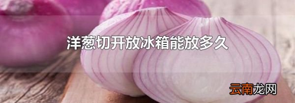 洋葱切开放冰箱能放多久