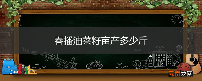 春播油菜籽亩产多少斤