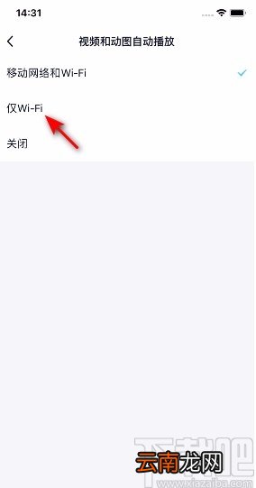 手机QQ开启仅Wifi自动播放视频和动图的方法
