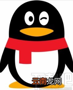 手机QQ开启仅Wifi自动播放视频和动图的方法