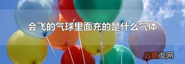 会飞的气球里面充的是什么气体