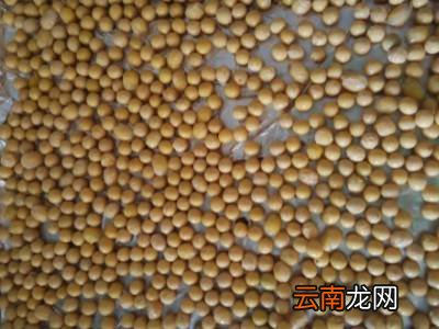 农村冬天捂臭豆子是怎样捂的