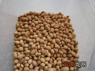 农村冬天捂臭豆子是怎样捂的