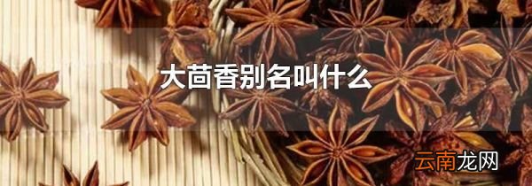 大茴香别名叫什么