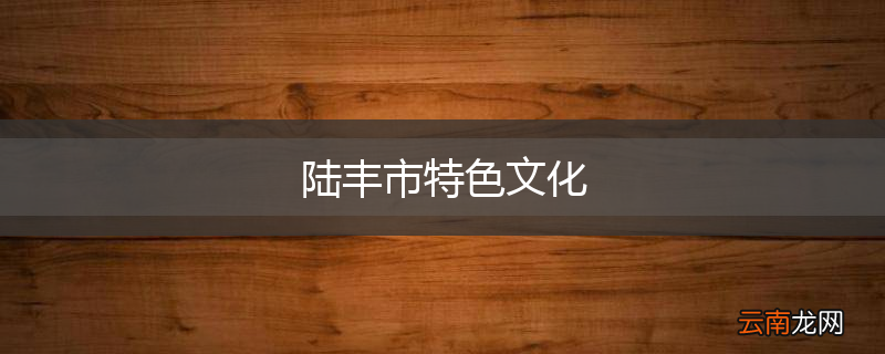 陆丰市特色文化