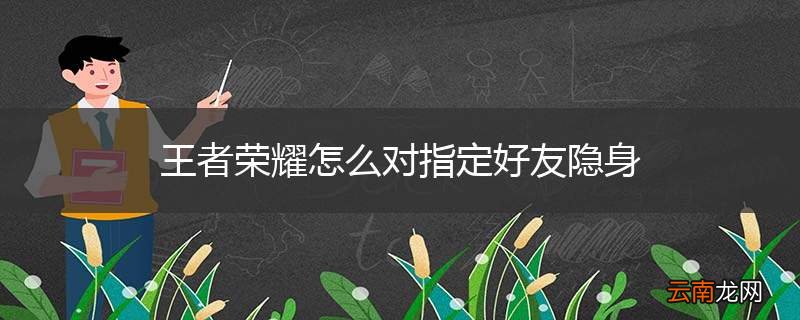 王者荣耀怎么对指定好友隐身