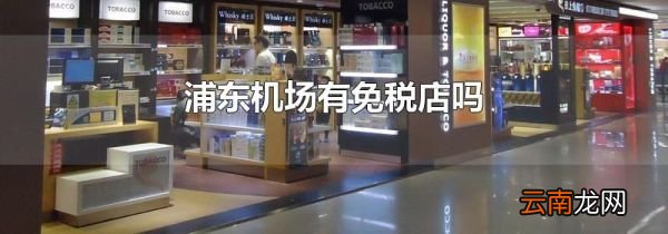 浦东机场有免税店吗