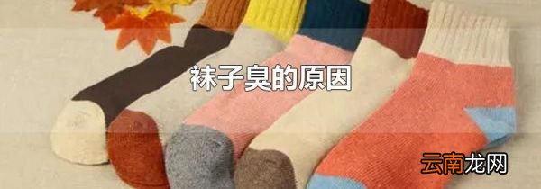 袜子臭的原因