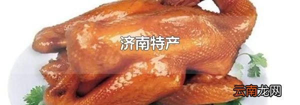 济南特产