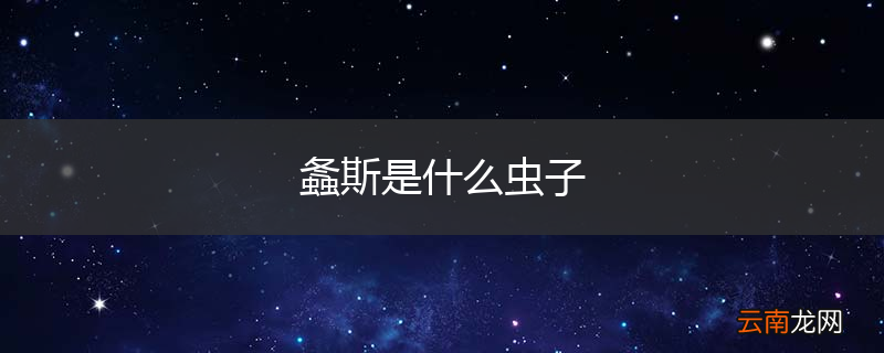螽斯是什么虫子