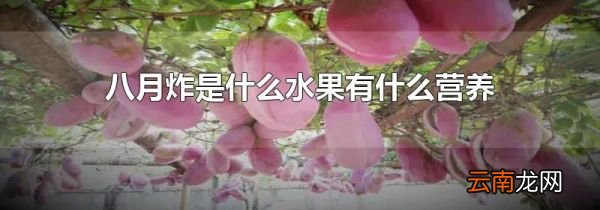 八月炸是什么水果有什么营养