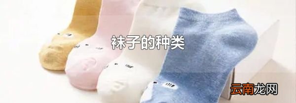 袜子的种类