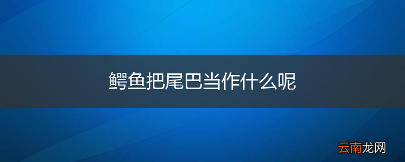 鳄鱼把尾巴当作什么呢