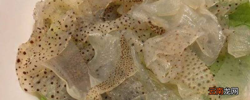 海蜇皮怎么处理才能吃