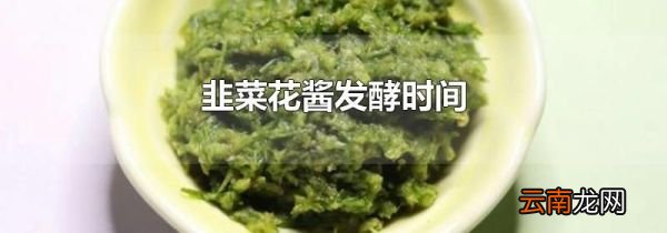韭菜花酱发酵时间