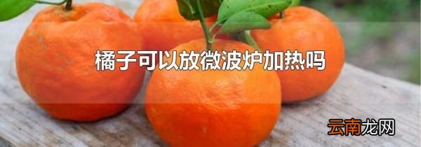 橘子可以放微波炉加热吗