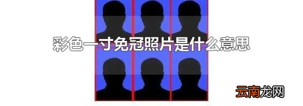 彩色一寸免冠照片是什么意思