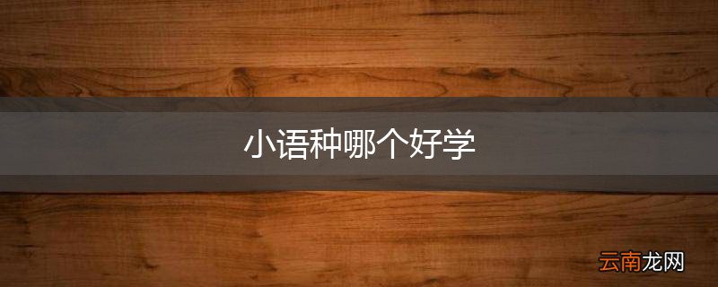 小语种哪个好学