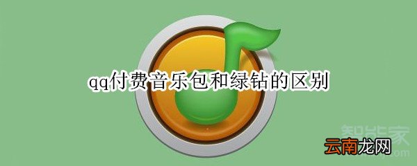 qq付费音乐包和绿钻的区别