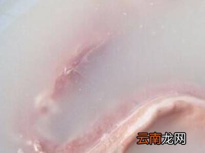 生猪肉清洗小窍门