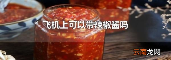 飞机上可以带辣椒酱吗