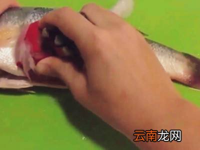鲽鱼怎样快速去鳞