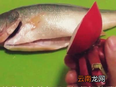 鲽鱼怎样快速去鳞