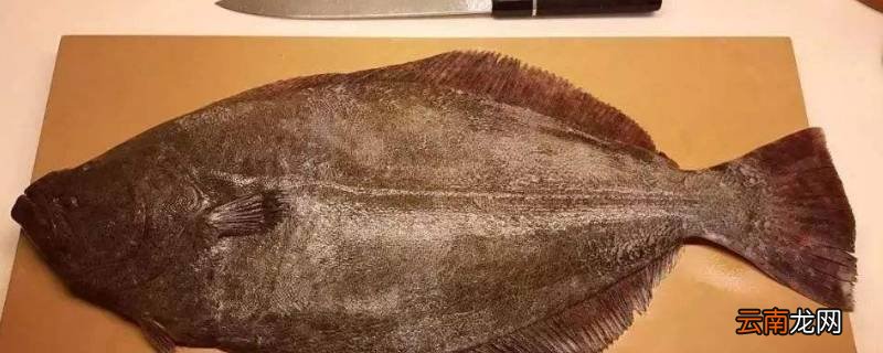 鲽鱼怎样快速去鳞