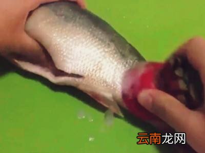 鲽鱼怎样快速去鳞