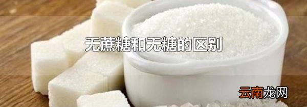 无蔗糖和无糖的区别