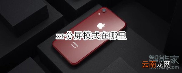 xr分屏模式在哪里