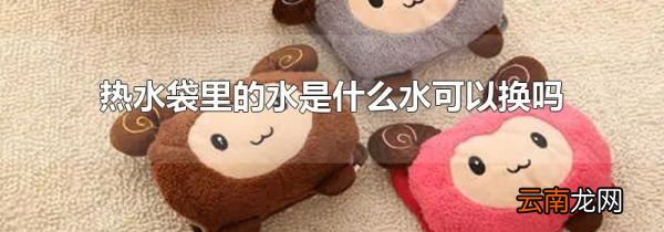 热水袋里的水是什么水可以换吗